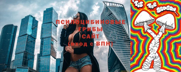 ПСИЛОЦИБИНОВЫЕ ГРИБЫ Баксан