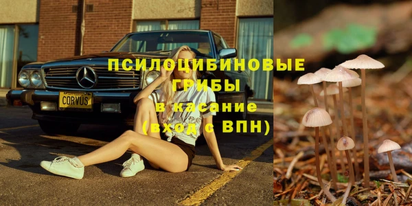 ПСИЛОЦИБИНОВЫЕ ГРИБЫ Баксан