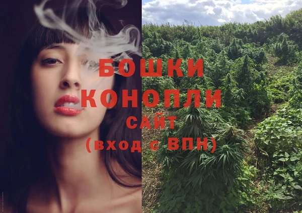 ПСИЛОЦИБИНОВЫЕ ГРИБЫ Баксан