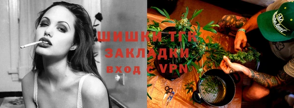 PSILOCYBIN Аркадак