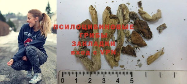 дмт Балахна