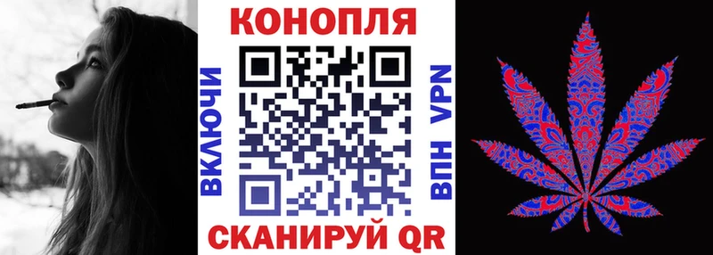 Канабис планчик Белово
